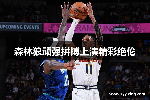 森林狼顽强拼搏上演精彩绝伦