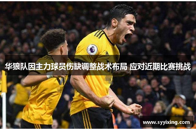 华狼队因主力球员伤缺调整战术布局 应对近期比赛挑战