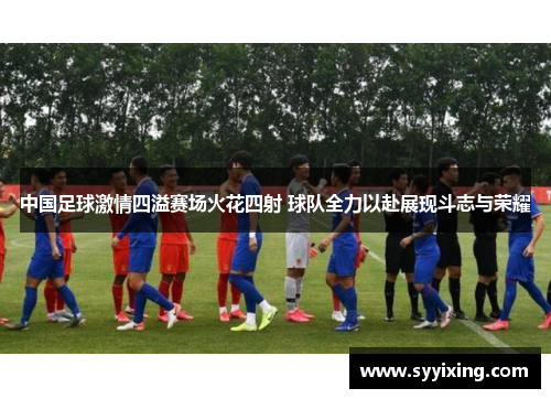 中国足球激情四溢赛场火花四射 球队全力以赴展现斗志与荣耀