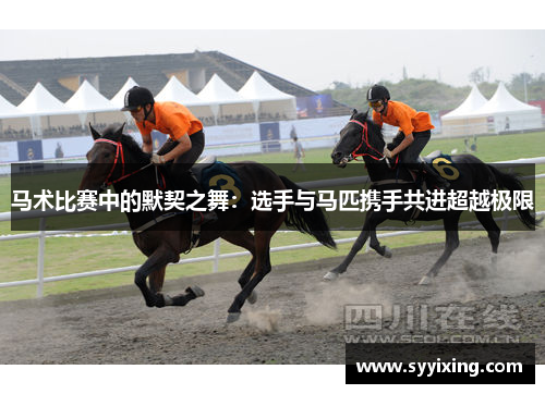 马术比赛中的默契之舞：选手与马匹携手共进超越极限