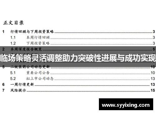 临场策略灵活调整助力突破性进展与成功实现