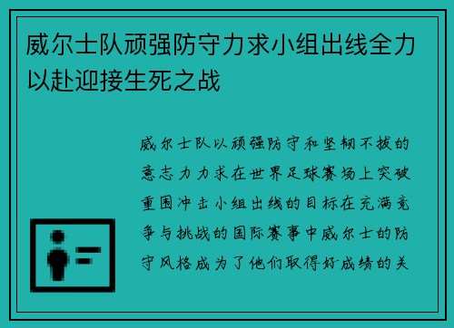 威尔士队顽强防守力求小组出线全力以赴迎接生死之战