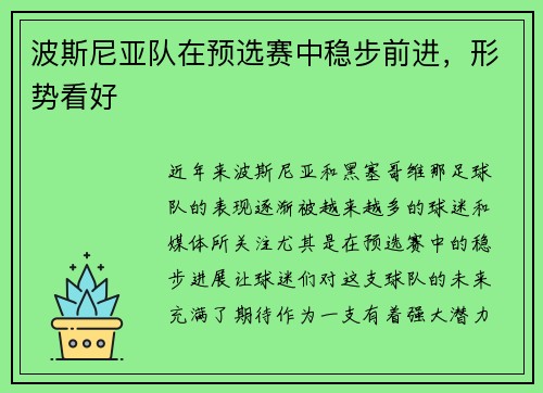 波斯尼亚队在预选赛中稳步前进，形势看好