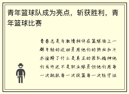 青年篮球队成为亮点，斩获胜利，青年篮球比赛